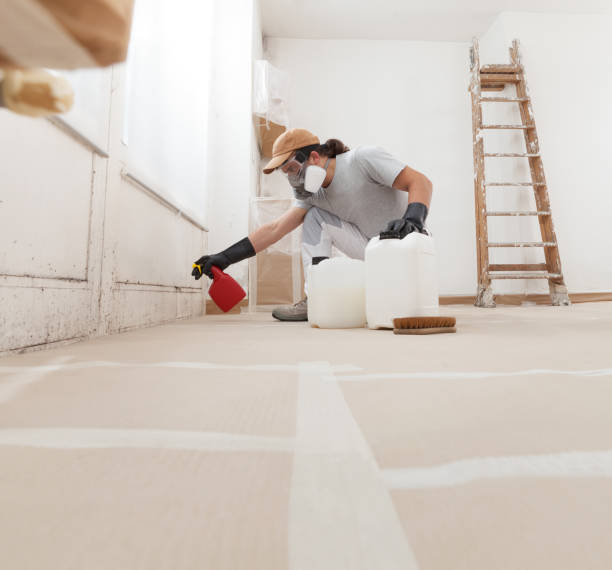 Trusted Meadowdale, WA Mold Removal Experts